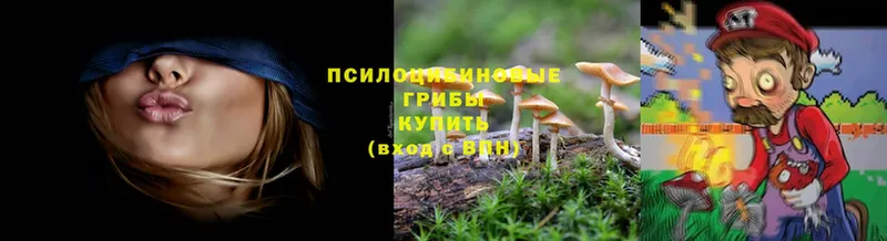 blacksprut tor  Чадан  Галлюциногенные грибы Cubensis  купить наркотики цена 